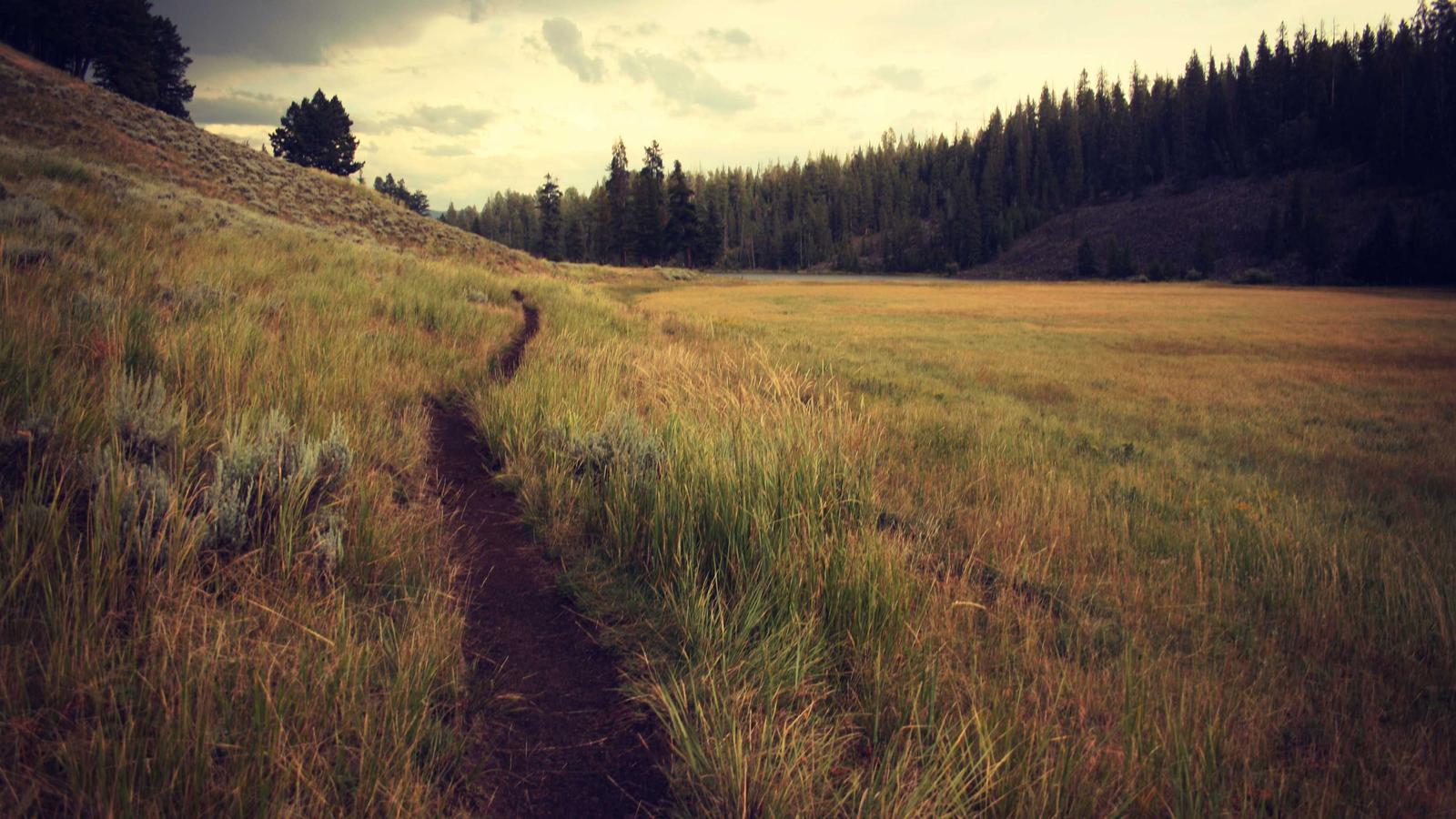 Maritime City by DAMAC Properties