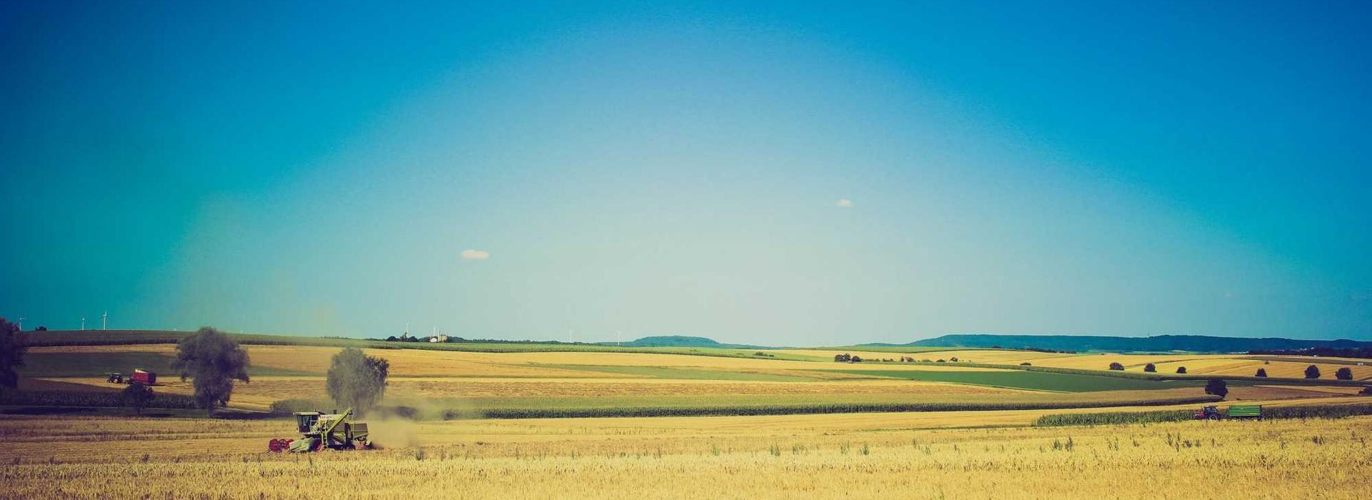 Reef 995 by Reef Developers