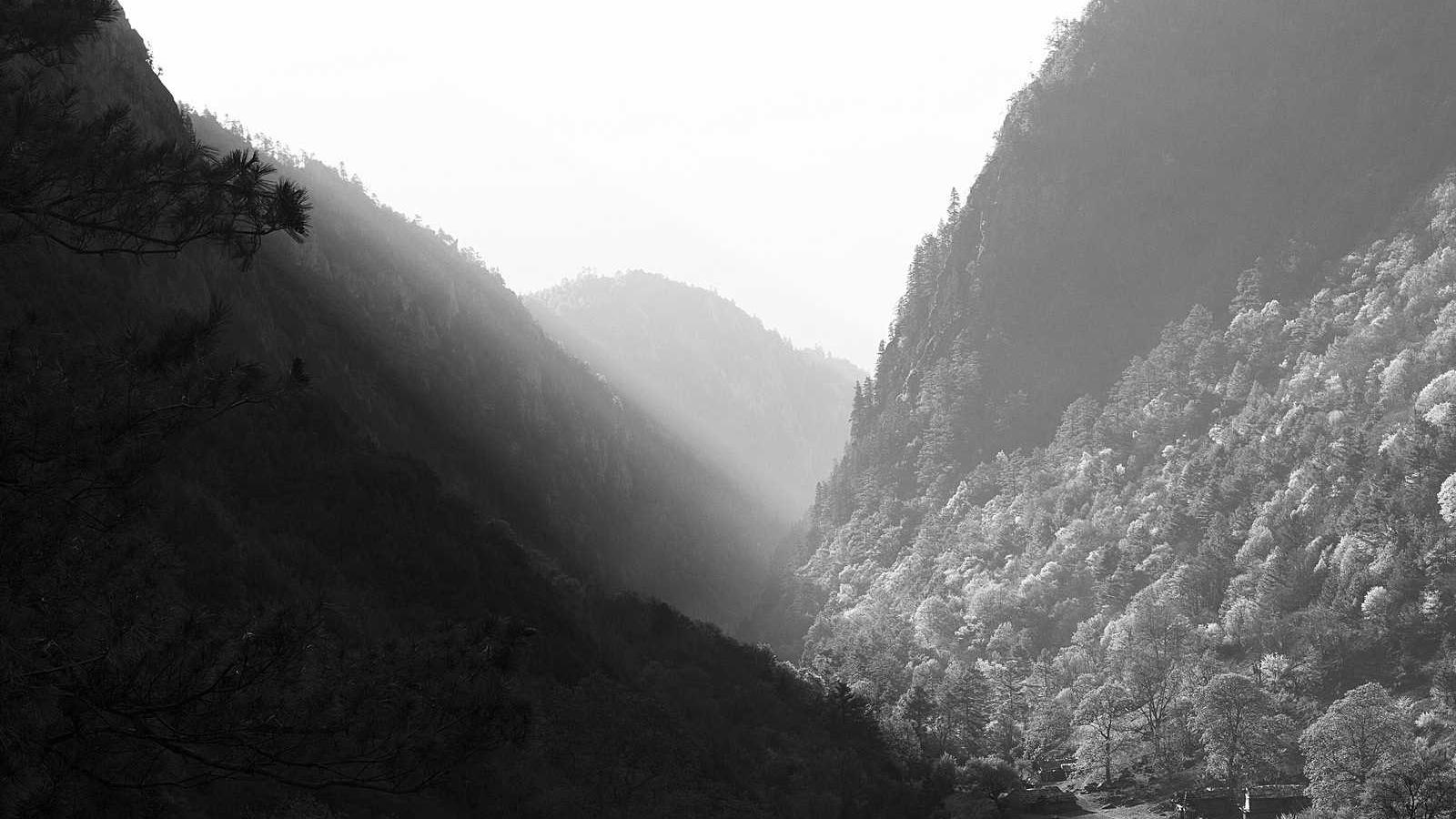 Safa Gate by DAMAC Properties